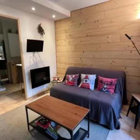 Studio T1 Bis / 4 Pers, Terrasse, Parking, Piscine, Proche Montagne - Fr-1-234-309 Apartament *